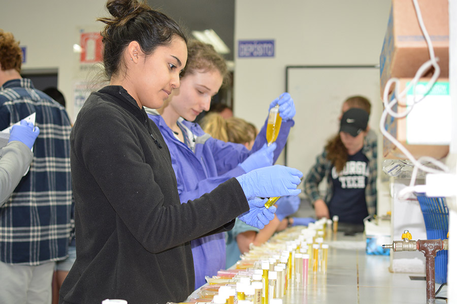 Students test water samples collected in Bolivia during their 2017 trip with Joe Brown's Environmental Technology in the Developing World class. Brown takes another group of students to La Paz this Spring Break to study water quality in the city's Choqueyapu River. (Photo Courtesy: Rachel Brashear)