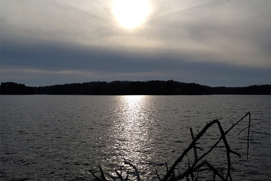 School of Civil and Environmental Engineering researchers have found that bacteria present in only small numbers in freshwater systems still play an important role in maintaining the health of the ecosystem. These so-called “rare” bacterial species contain key genes that help the broader microbial community respond to environmental changes such as pollution or oil spills. The team used water from Lake Lanier northeast of Atlanta to test how microbial communities respond to common organic compounds. (Photo Courtesy: PBT1981 via Wikimedia Commons.)