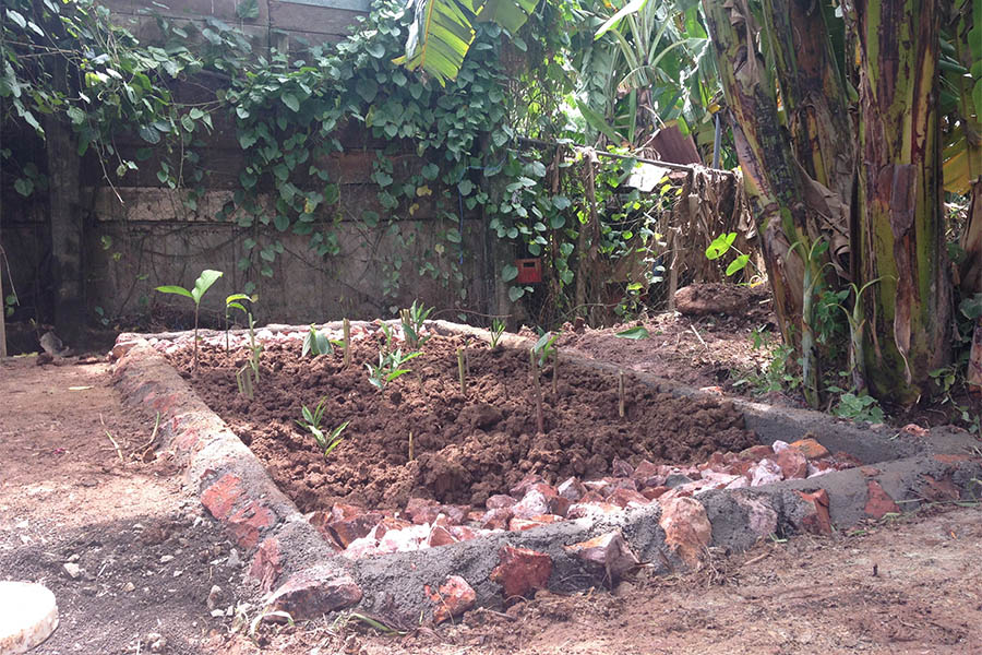 The finished filtration system, complete with a rock and cement barrier to prevent runoff from entering the filter and a covering of soil and plants. Eichbauer said her summer in Nicaragua has made her realize that living in and becoming integrated with the culture is essential for engineers trying to contribute to another country’s development. (Photo: Kelsey Eichbauer)
