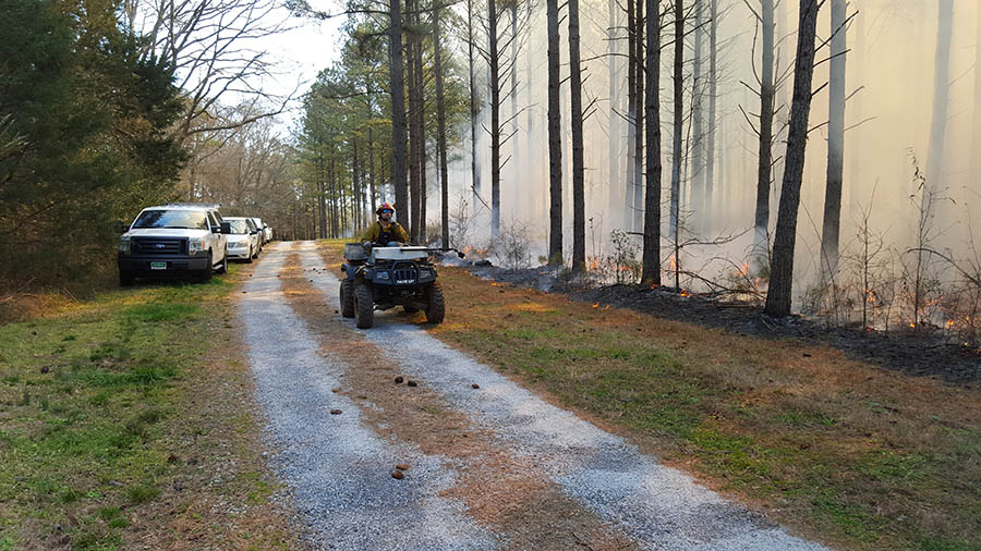 A firefighter monitors a prescribed burn near Griffin, Georgia. (Photo: Talat Odman)