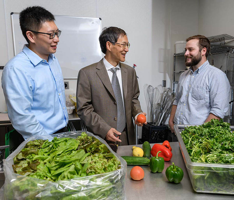 Postdoctoral fellow Bopeng Zhang, left, Professor Yongshen Chen and graduate research assistant Thomas Igou will pilot a project to use wastewater nutrients to grow lettuce, tomatoes and other fruits and vegetables.
