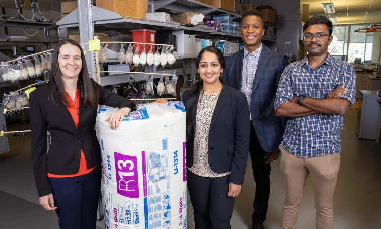 Four people in a lab pose with a package of hemp insulation