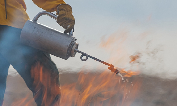 A person holding a drip torch to ignite dead grass for a controlled burn 