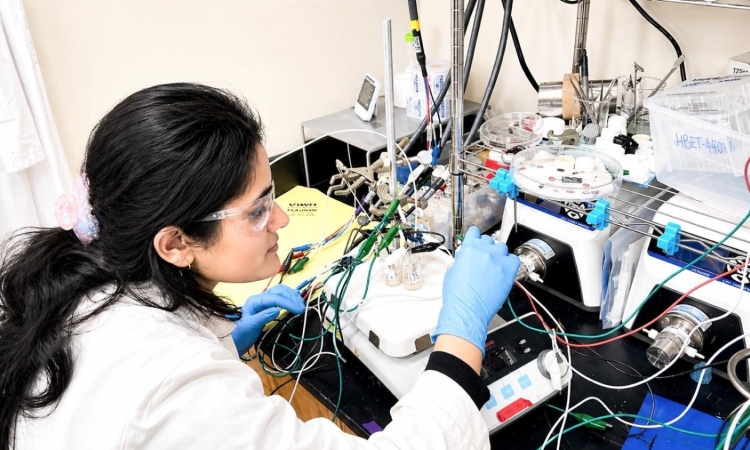 A woman working in a laboratory 