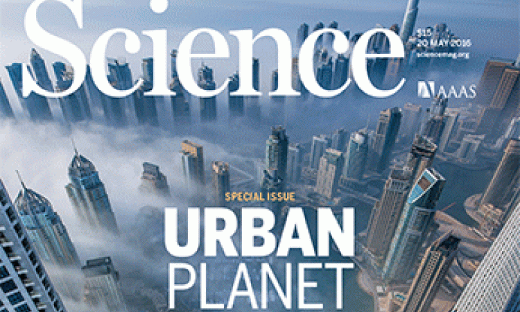 Cover of Science special issue on urban issues.