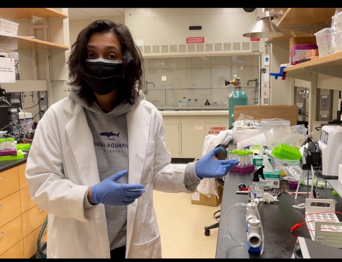 A woman in a lab wearing a mask, gloves and lab coat