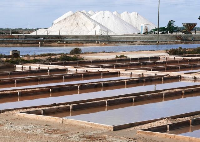 A photo of the salter site in Spain where the research was done.