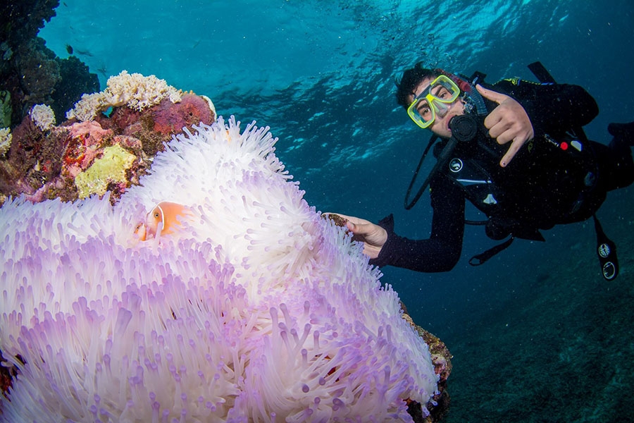 Civil engineering undergrad Andrew Melissas diving during his semester studying abroad in Australia. (Photo Courtesy: Andrew Melissas)